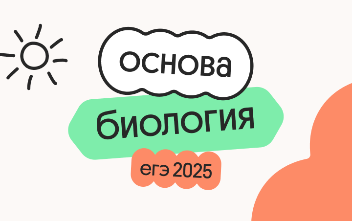 подготовка к егэ 2025 тариф стандарт полгода Биология. Основа. Подготовка к ЕГЭ 2025 с любого уровня